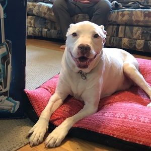 Meet your Posher, Courtney